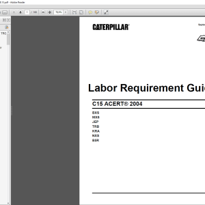 CAT C9C11C13C15 On highway ACERT 2004 Master Labour Guideline 1