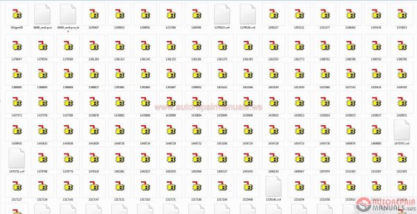 Cat Flash Files 0720173