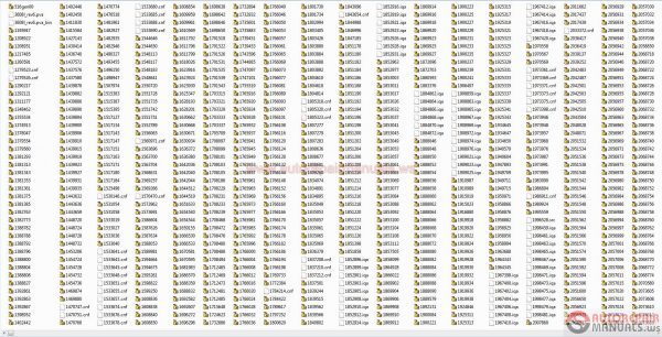 Cat Flash Files 0720174