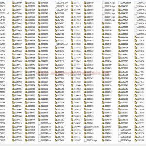 Cat Flash Files 0720175