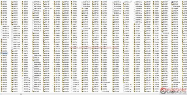 Cat Flash Files 0720175