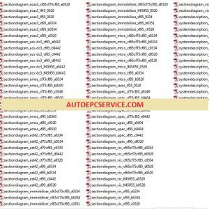 DAF Wiring Diagram Manual1