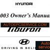 Hyundai full Shop Manual DVD5 1 1