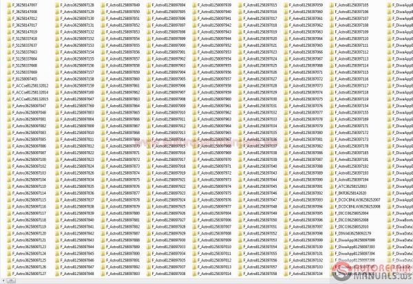 MAN Truck Flash file1