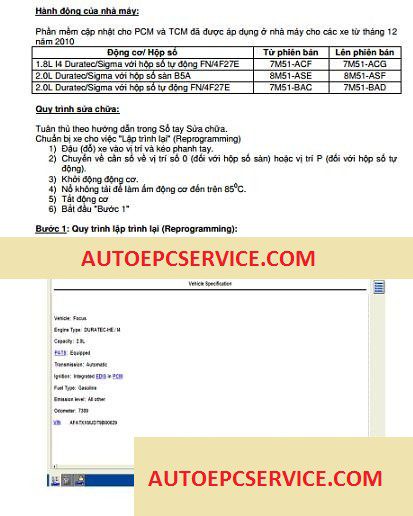 TCM Full Shop Manual DVD6