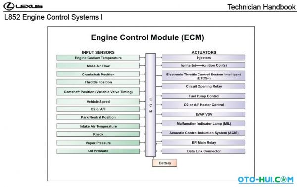 22 Aug 24 otohui2012693