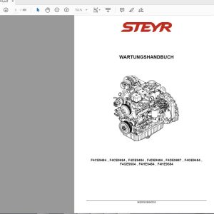 Steyr Engine 1