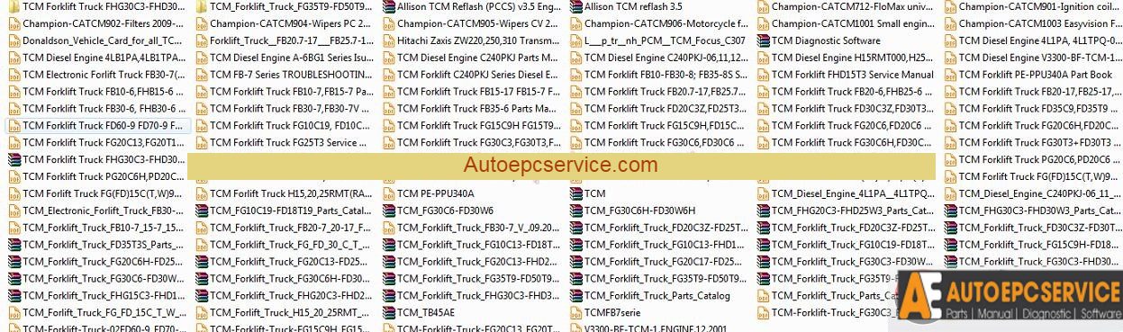 TCM Full Shop Manual DVD1 1