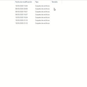 Repair Manual0