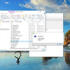 TruckCom Cesab 21293Patch 5 1