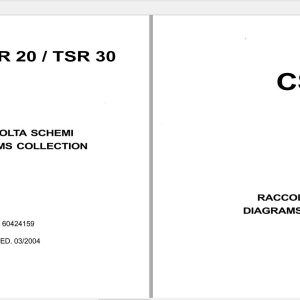 Pimespo Forklift Csr Tlr20 Tsr30 Diagram Collection60424159 1