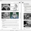 Bobcat Utility Vehicle 2200 2300 Service Manuals 4
