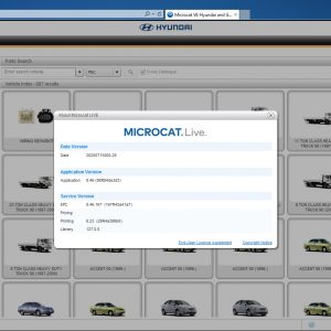 HYUNDAI MCAT EPC V6 08 1
