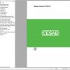 CESAB Electric Pallet Trucks P322 Repair Manual 1