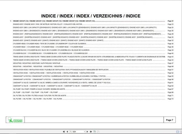 CESAB Forklift IC Diesel 1DZ M325 Spare Parts Catalog0350207 0 2