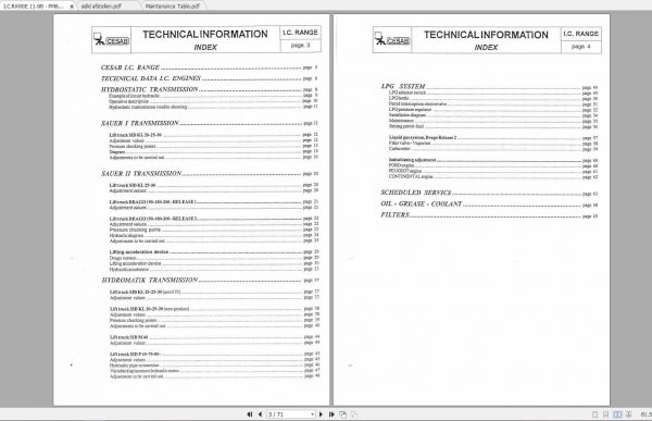 CESAB Forklift IC Range Technical Manual 2