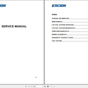 Hyundai HCM Excion Fuel System Service Manual 17BdD9