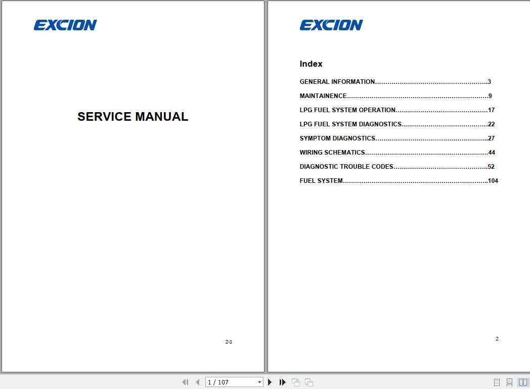 Hyundai HCM Excion Fuel System Service Manual 17BdD9
