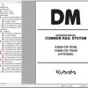 Hyundai Kubota V3800 Engine Diagnosis Manual 1