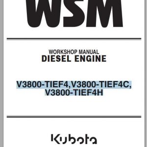 Hyundai Kubota V3800 Engine Workshop Manual 1