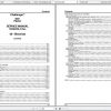 Challenger EU Seeding 9831 Planter Service Manual79036329A 2