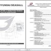 Hyundai SeasAll S250 and S220 Series Engines Installation Operation Manual 1