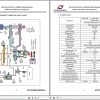 Hyundai SeasAll S250 and S220 Series Engines Installation Operation Manual 2