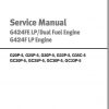 Daewoo Doosan Forklift G424F FE LP Engine Service Manual 1