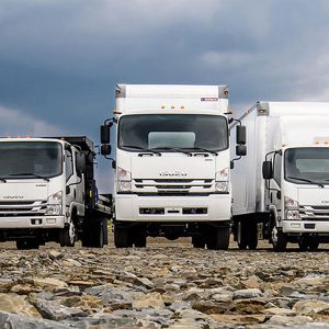 Isuzu Truck Full Models 1992 2019 Wiring Diagrams DVD PDF EN 1