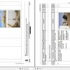Liebherr Mining Crawler Excavator R9250 Shovel Assembly Manual 02 2021 3