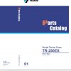 Tadano Rough Terrain Crane TR 250EX 2 P1 1EJ Parts Catalog ENJP 1 1