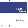 Tadano Truck Crane GS 700BR 1 P2 1EJ Parts Catalog ENJP 1