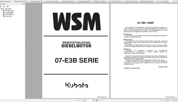 Merlo Panoramic P25.6 Service Manual Mechanic Manual Hydraulic Electrical Diagram DE 4