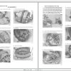 CASE Loader Backhoe 580SE Super E Service Manual 3
