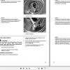Yale Class 4 Internal Combustion Engine Trucks D879 GCGLCGDC135VX GCGLCGDC155VX Service Manual 3