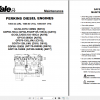 Yale Class 5 Internal Combustion Engine Trucks C813 GDPGLP35 55LJMJ Europe Service Manual 1