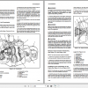 Yale Class 5 Internal Combustion Engine Trucks E177 GLPGDP 202530 RFTF Europe Service Manual 3