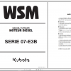 Kubota Diesel Motor V2607 V3007 V3307 DI T E3B Workshop Manual FR 0