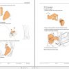 Mitsubishi Forklift MCFE FB50CN Service Manual 2021 3