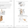 Mitsubishi Forklift MCFE FB50N Service Manual 2021 4