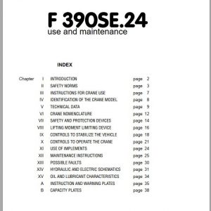 Fassi Cranes F390SE.24 Use and Maintenance Manual 2003 1