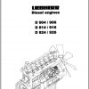 Liebherr Diesel Engine D904 D905 D914 D916 D924 D926 Service Manual 8718458 2003 1 1