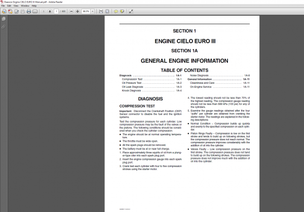 Daewoo Engine CIELO EURO III Manual 1