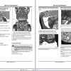 John Deere Gator Utility Vehicle XUV 825i SN 030001 Operators Manual OMM165093 H1 2011 2