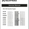 Mitsubishi Forklift FG15NM FG35NM Schematic Operation Maintenance Service Manual EN ES 2