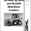 Gehl Skid Steer Loader SL3640 SL3840 SL4240 Service Manual 917170 2006 1