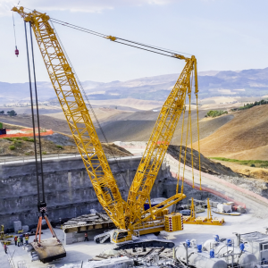 Liebherr LICCON Universal Work Planner V6.21 Crawler Crane LR 1500 500 Ton 0