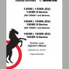 Mustang Skid Steer Loader 1350R 1500R 1650R EU X Series Operators Manual 50940264M 05 1