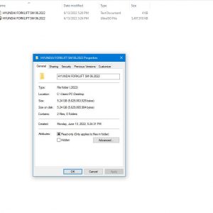 Hyundai Forklift Trucks Service Manual Updated 06.2022 Offline Dvd