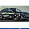 PETKA 8.3 Volkswagen Seat Skoda Audi Commercial Vehicles Porsche 05.2022 Spare Parts Catalog DVD 13